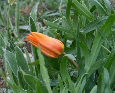 Прикрепленное изображение: 303.jpg